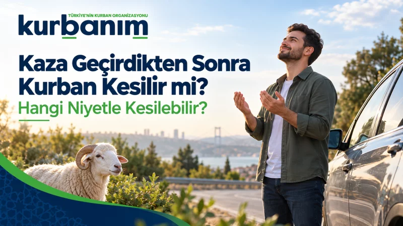 Kaza Geçirdikten Sonra Kurban Kesilir mi? Hangi Niyetle Kesilebilir?