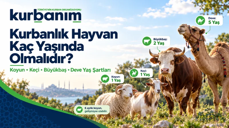 Kurbanlık Hayvan Kaç Yaşında Olmalıdır?
