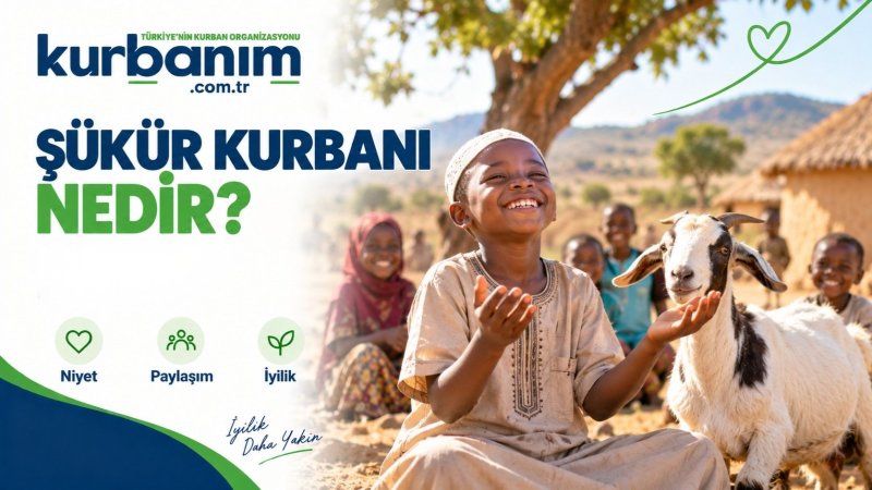 Şükür Kurbanı Nedi̇r?